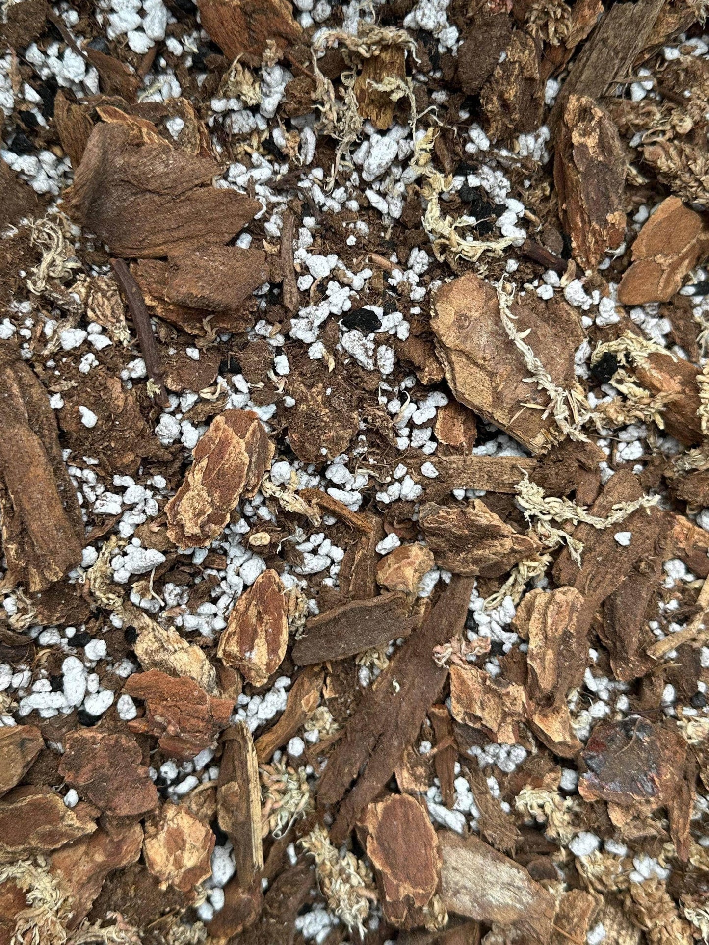 Aroid Soil Mix - Soil For Monstera, Philodendron, Orchids, And Other Tropical Plants