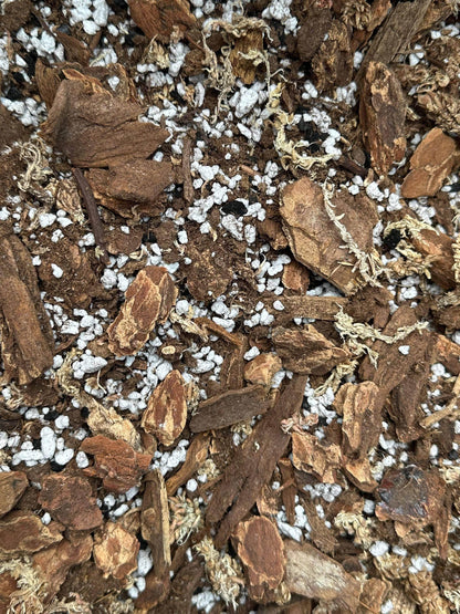 Aroid Soil Mix - Soil For Monstera, Philodendron, Orchids, And Other Tropical Plants