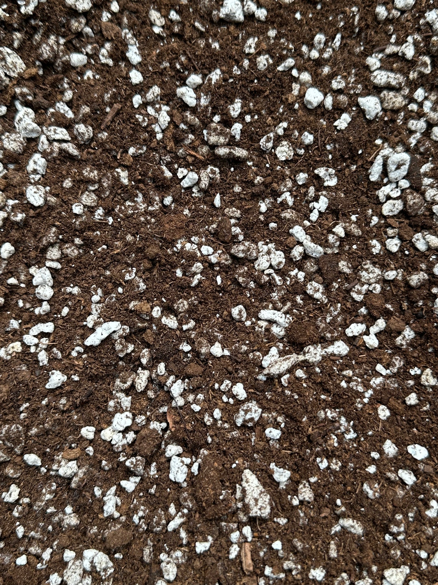 Bog Soil Mix