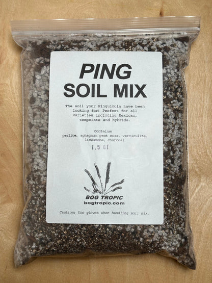 Ping Soil Mix - Soil For Pinguicula Butterwort Carnivorous Plants