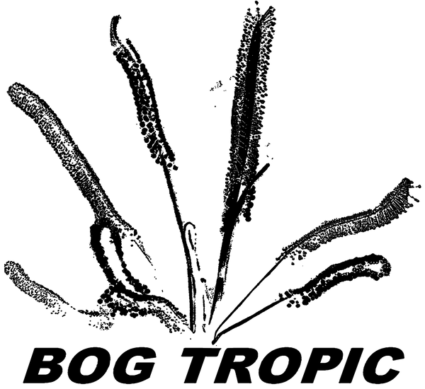Bog Tropic
